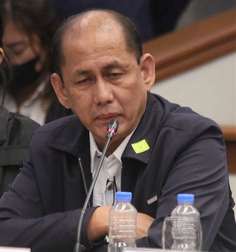 raul villanueva pagcor